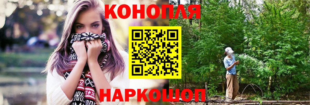 Канабис сатива Нижневартовск